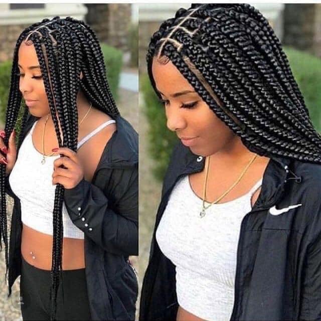 Braids Hairstyles (26)