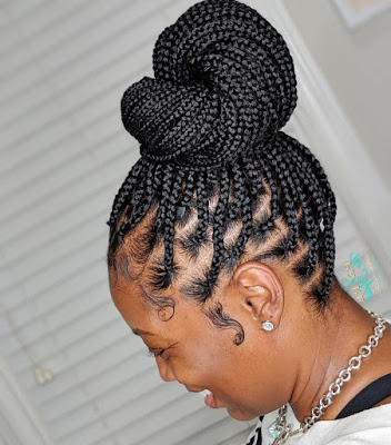 Braids Hairstyles (57)