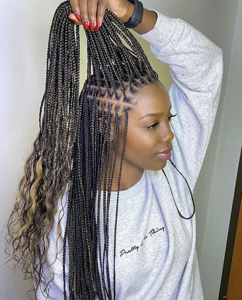 Natural Colored Box Braids Long