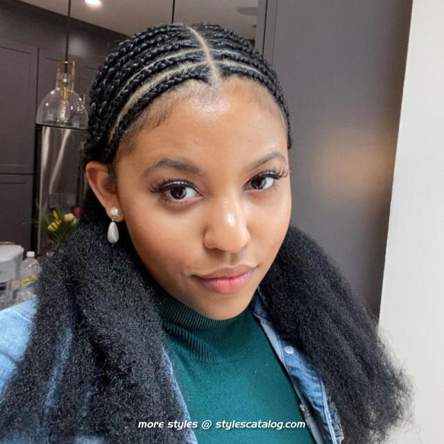 Hairstyles for Medium Knotless Braids (43)