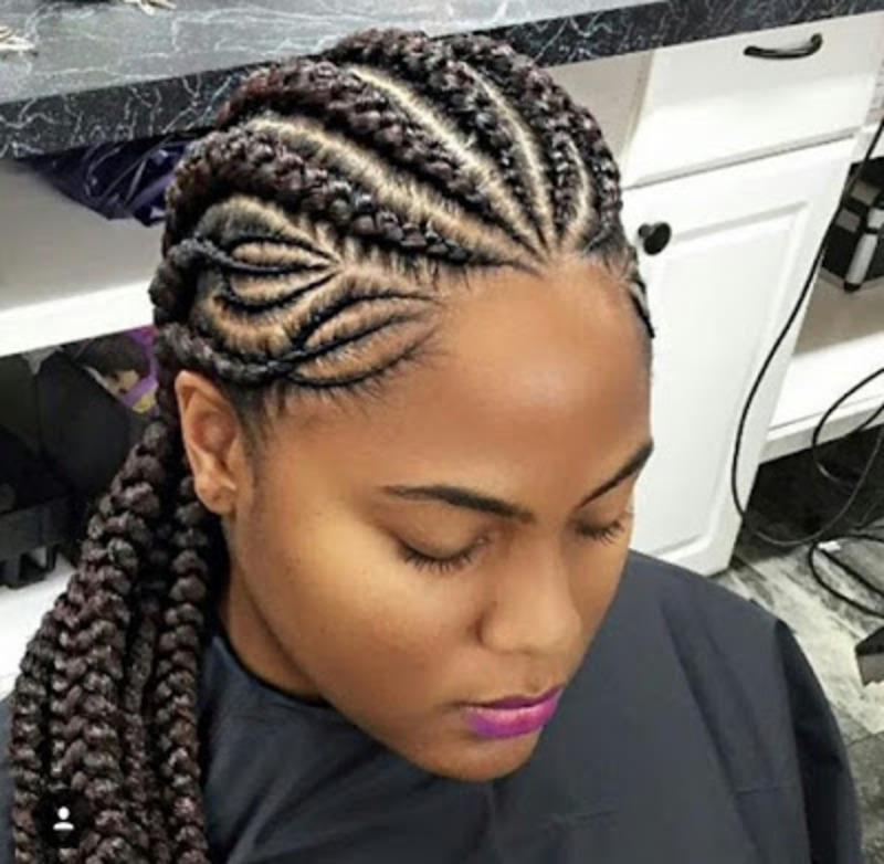 Braids Hairstyles (1)