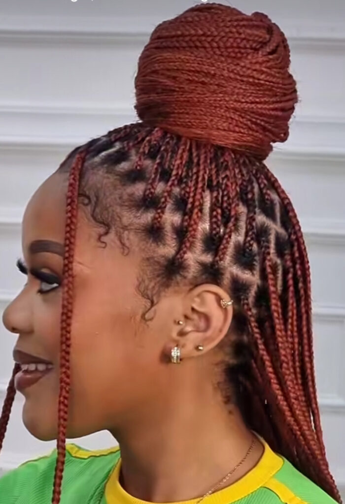 Braids Hairstyles (14)