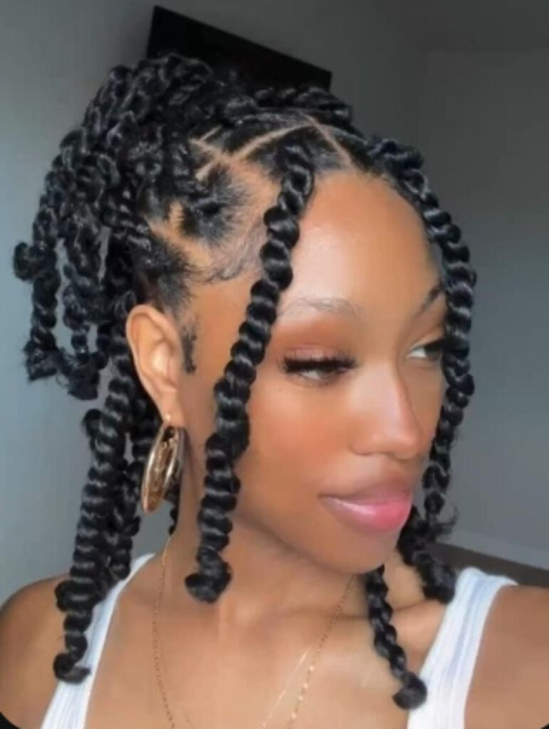 Braids Hairstyles (7)