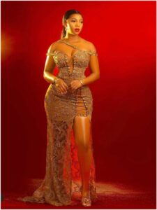 Sheer Lace Gown (2)