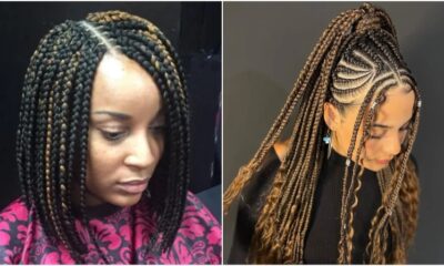 Exquisite Braids and Plaits Hairstyles to Try Right Now