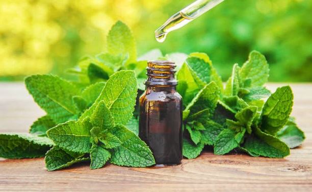 Peppermint Oil