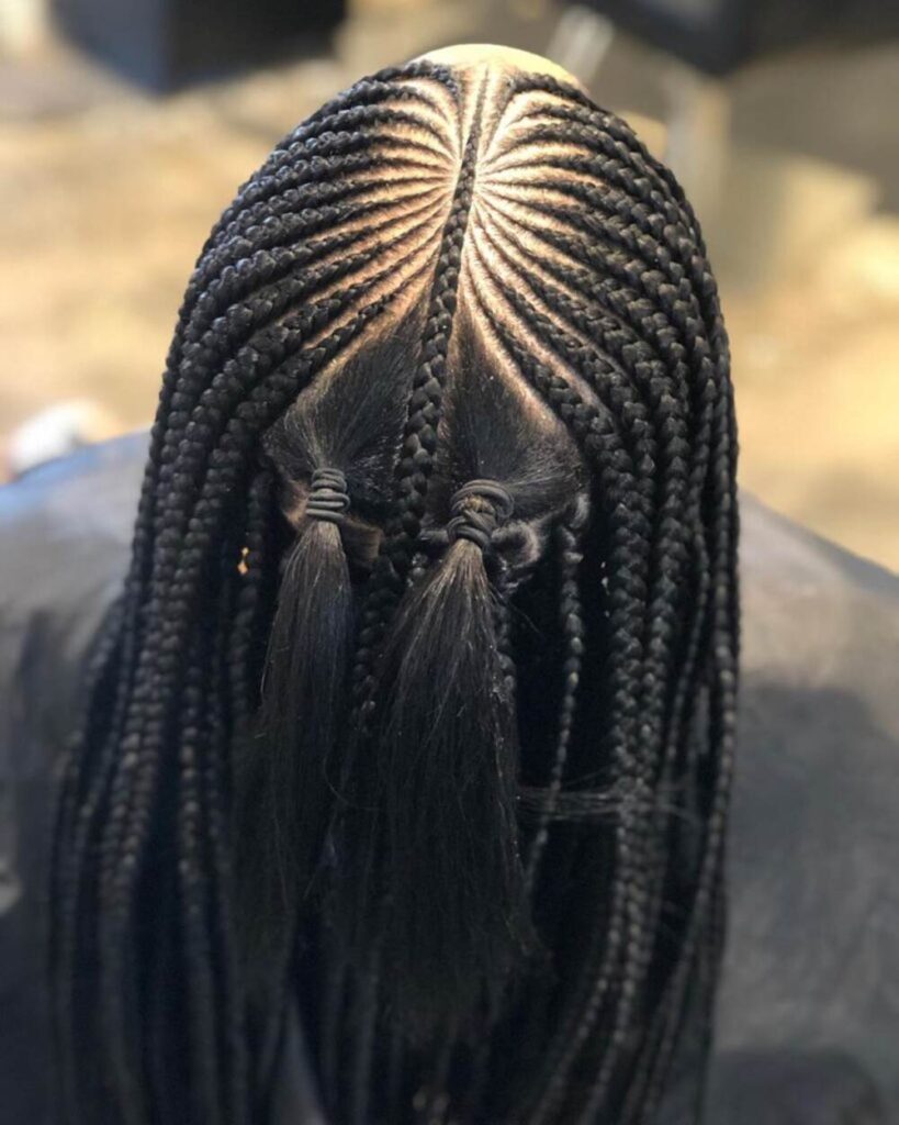 Braidstyles (35)