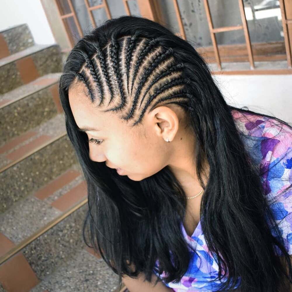 Braidstyles (46)