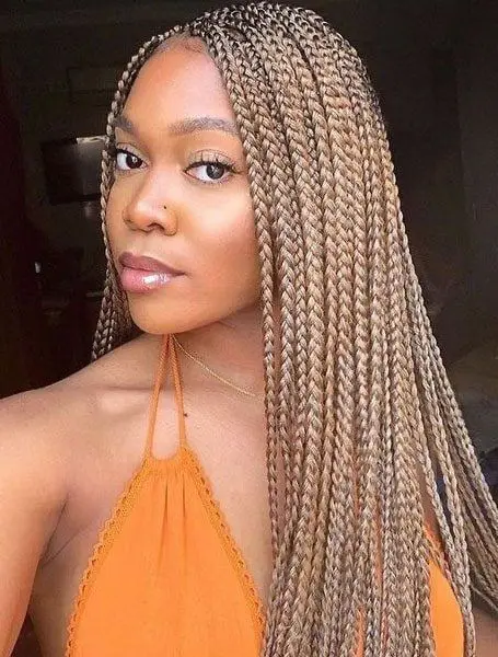 Honey Blonde Knotless Braids