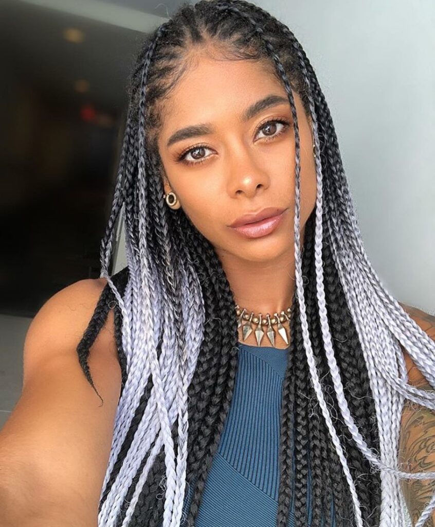 Gradient Ombre Box Braids