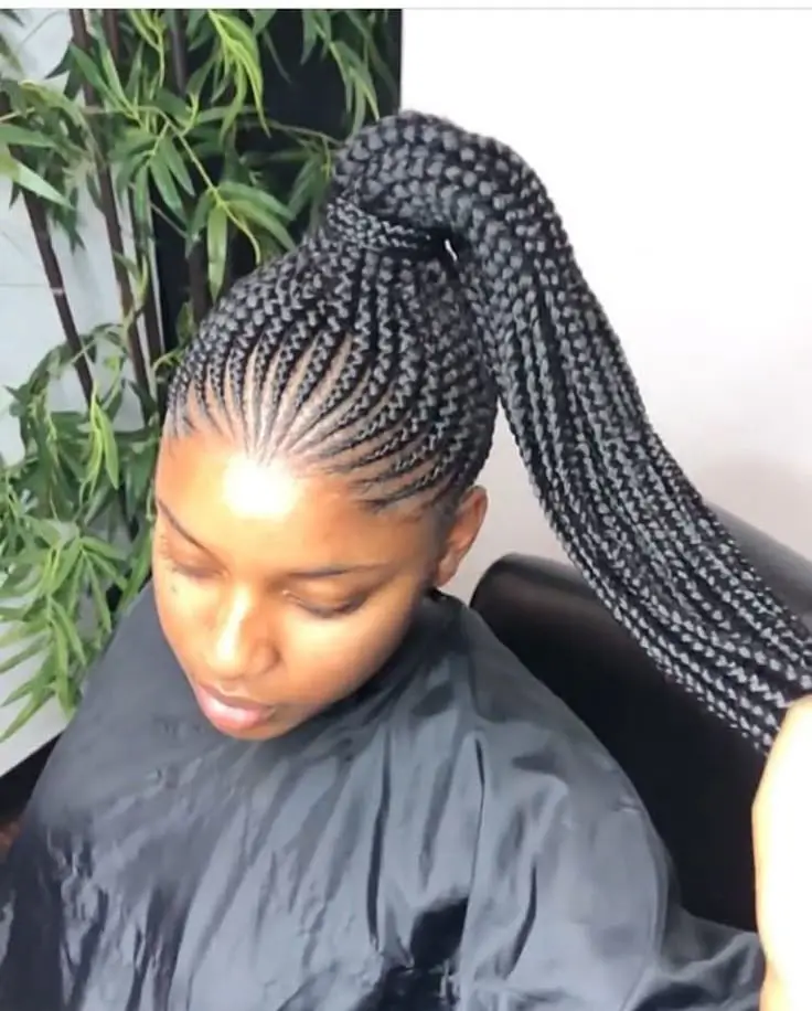 Sleek All-Back Braided Ponytail