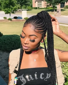 Sleek Fulani Braids in a High Ponytail