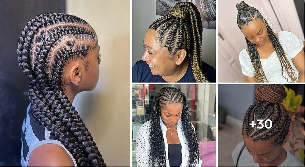 Best Braided Hairstyles Highlights